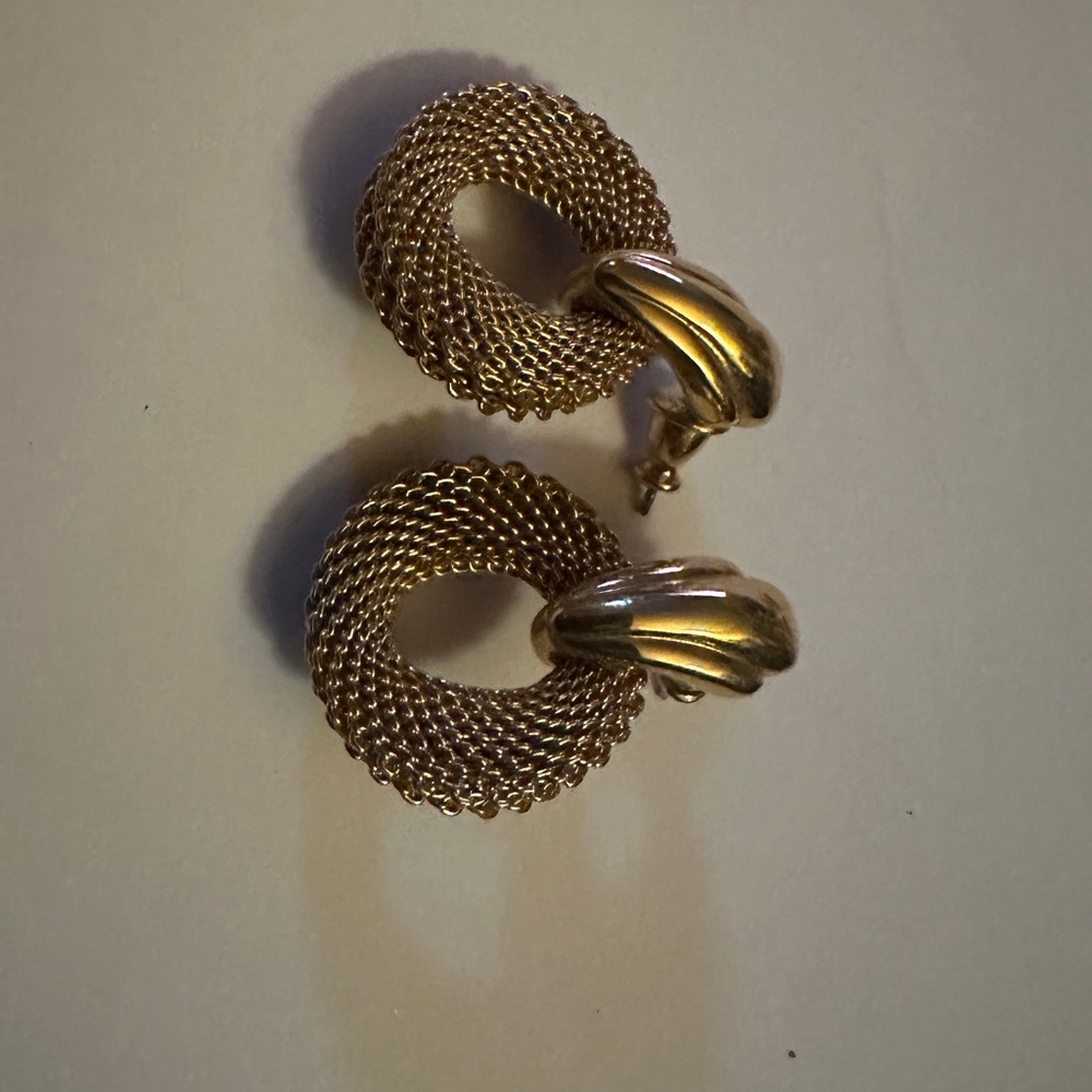 Elegant Gold Mesh Earrings